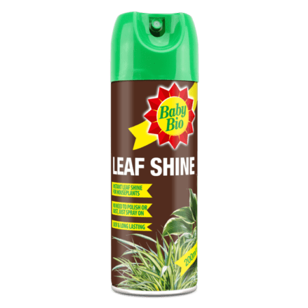 Leaf Shine