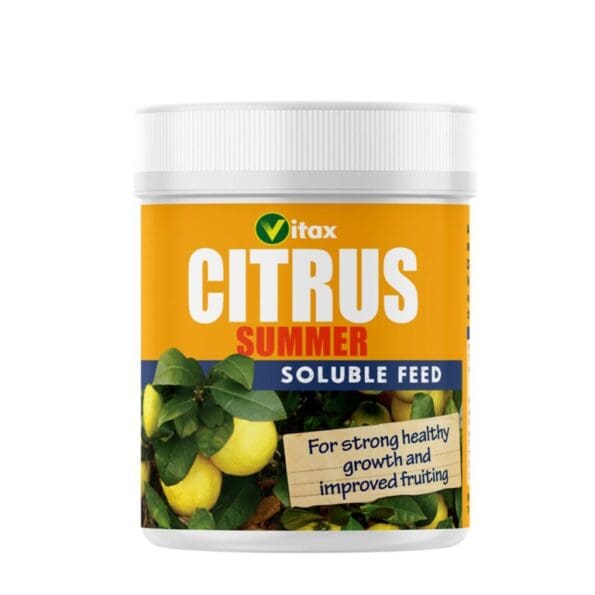 Citrus Feed - Summer