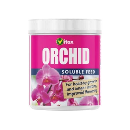 Orchid Feed