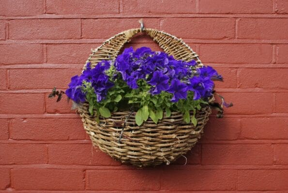 Rattan Wall Basket