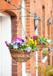 Rattan Hanging Basket