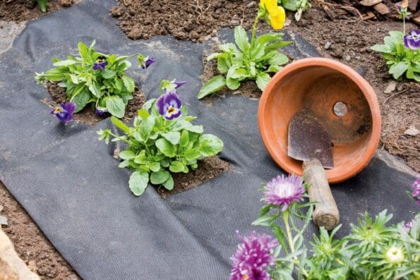 Weed Control Fabric