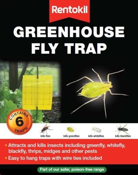 Greenhouse Fly Trap
