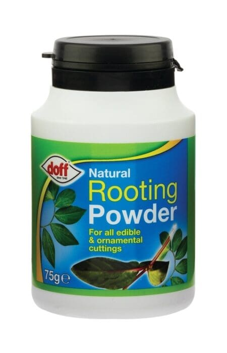 Natural Rooting Powder