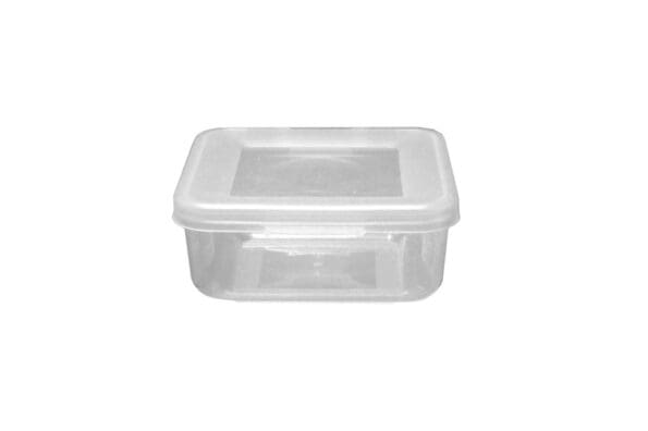 Food Container Square Hinged Lid