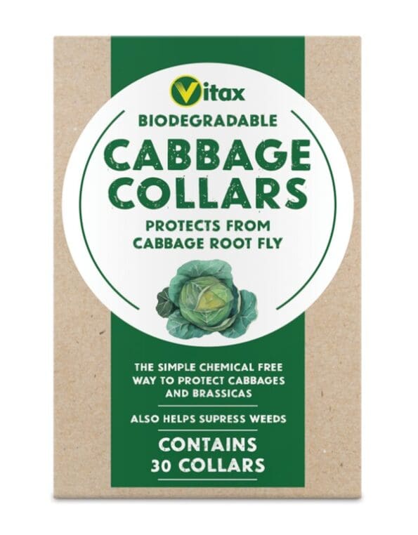 Cabbage Collars