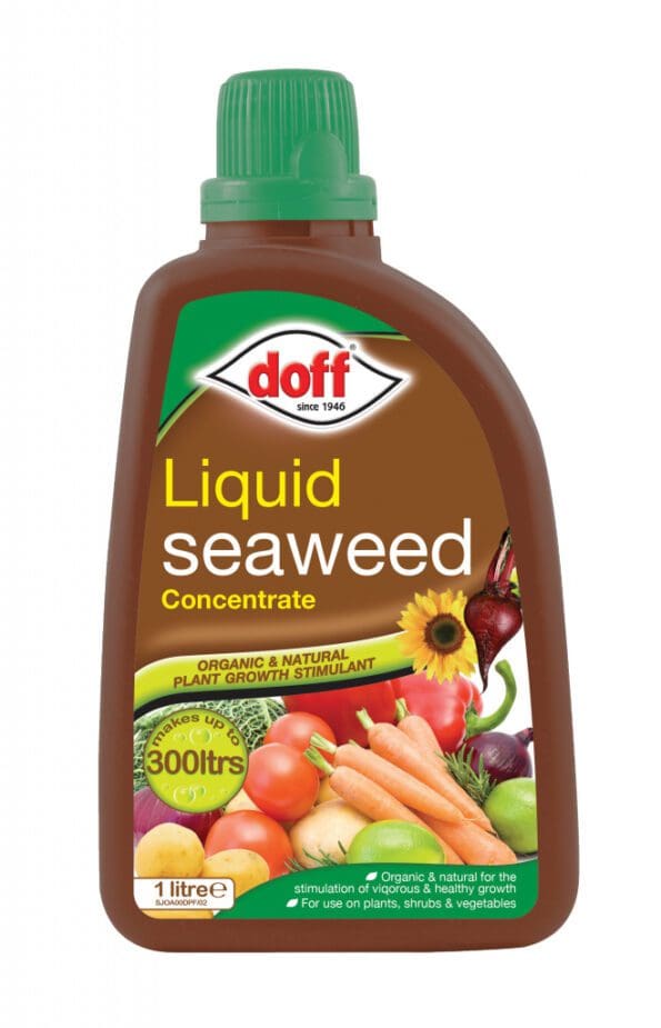 Liquid Seaweed Plant Feed