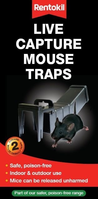 Live Capture Mouse Traps Boxed