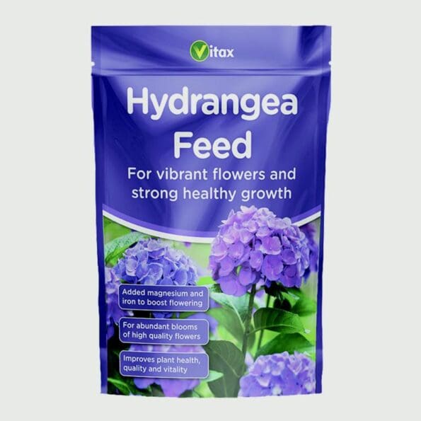 Hydrangea Feed