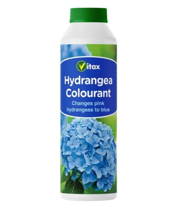 Hydrangea Colourant