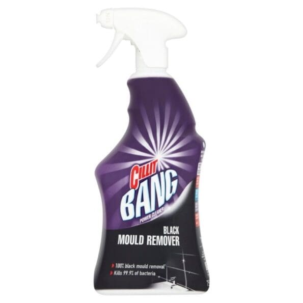 Black Mould Remover