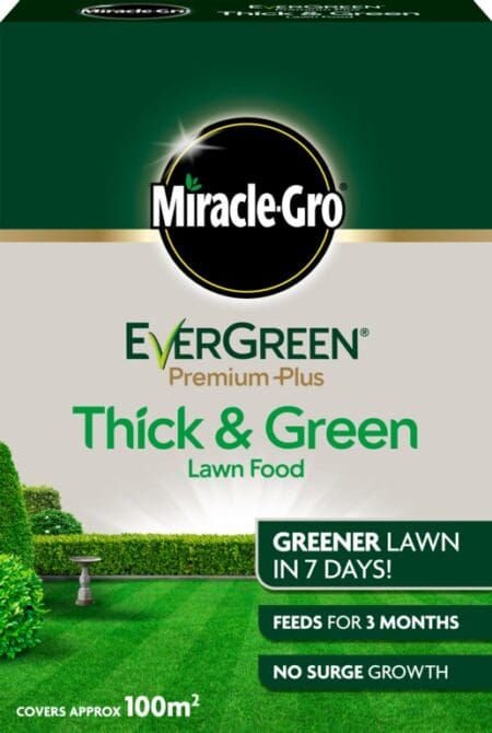Evergreen Premium Plus Thick & Green