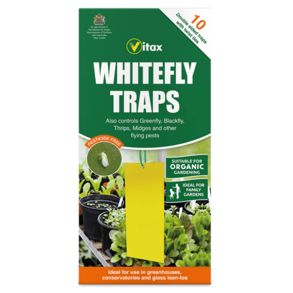 Whitefly Traps