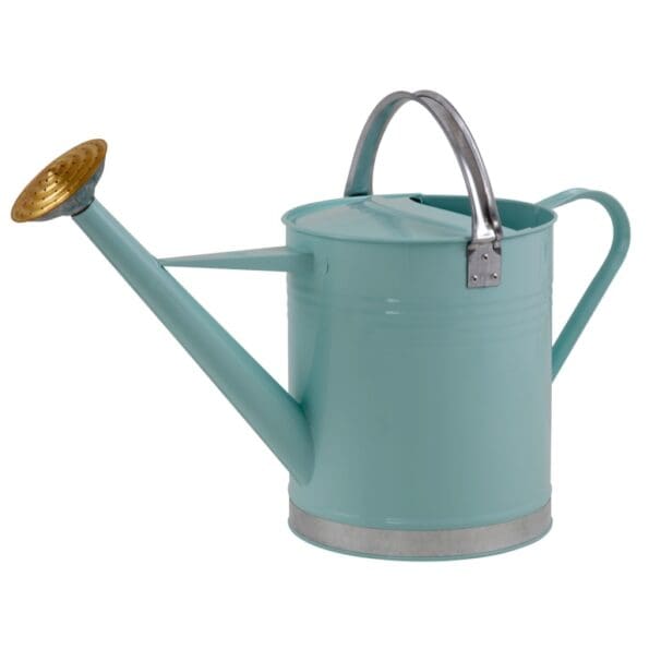 Metal Watering Can