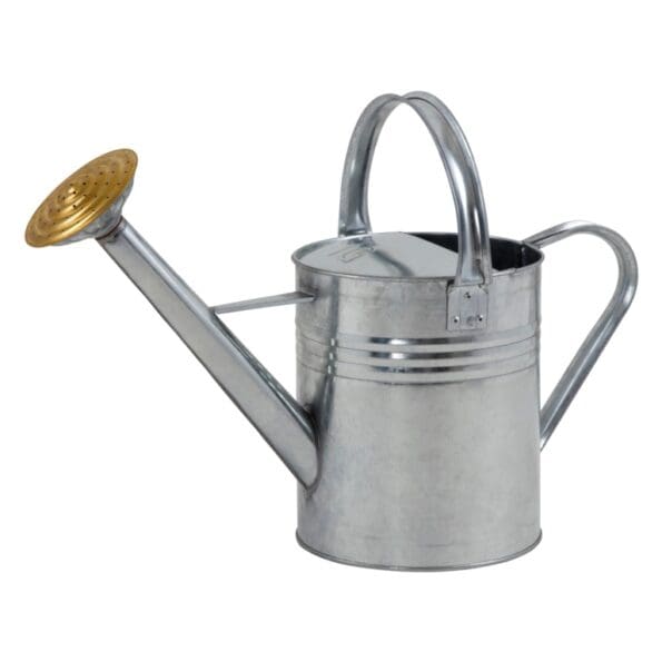 Galvanised Watering Can