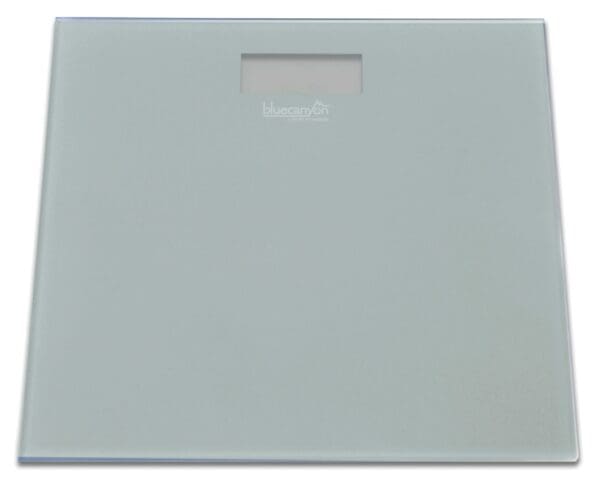 S Series Digital Bathroom Scale