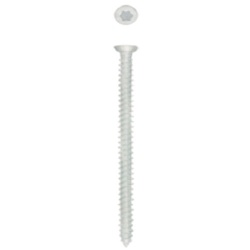 Frame Screw Csk Zinc Plated Pack 30