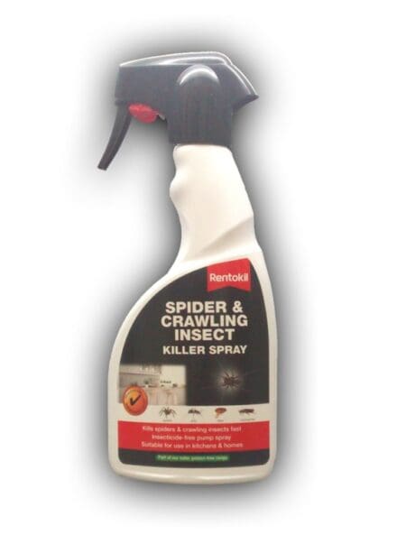Spider & Crawling Insect Killer Spray