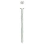 Frame Screw Csk Zinc Plated