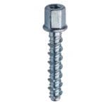 Concrete Screwbolt Internally Threaded Zinc Plated