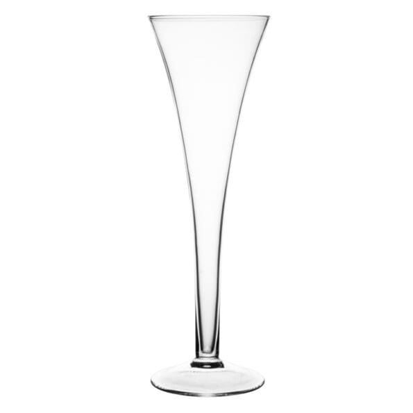 Entertain Prosecco Flutes