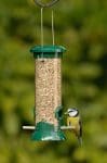 Easy Clean Seed Feeder