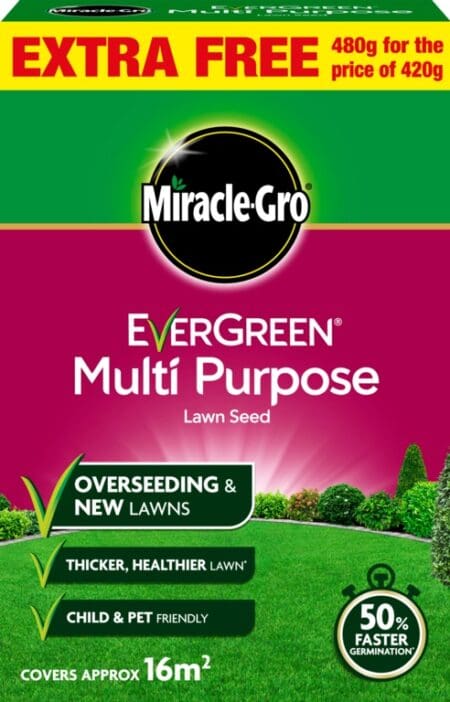Multi Purpose Grass Seed Promo