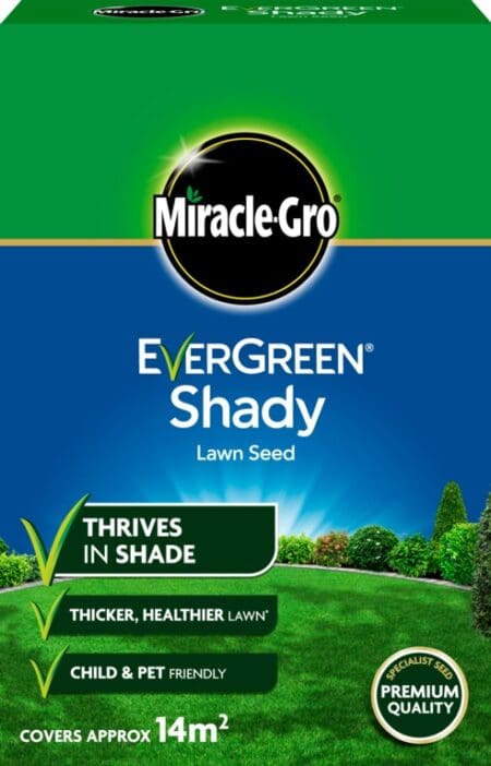 Shady Lawn Seed