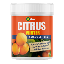 Citrus Winter Feed