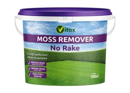 Moss Remover