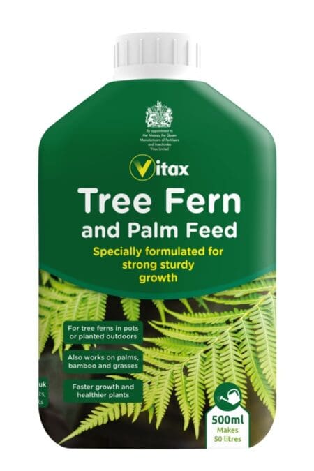 Tree Fern & Palm Feed