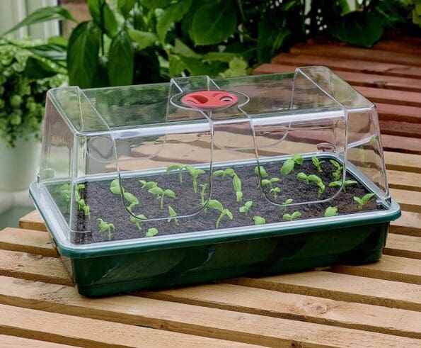 High Dome Propagator