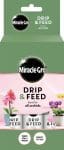 Drip & Feed Orchid