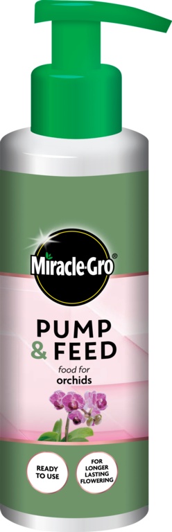 Pump & Feed Orchid