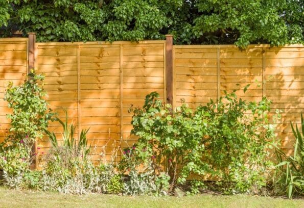 Pressure Treated Fence Panel