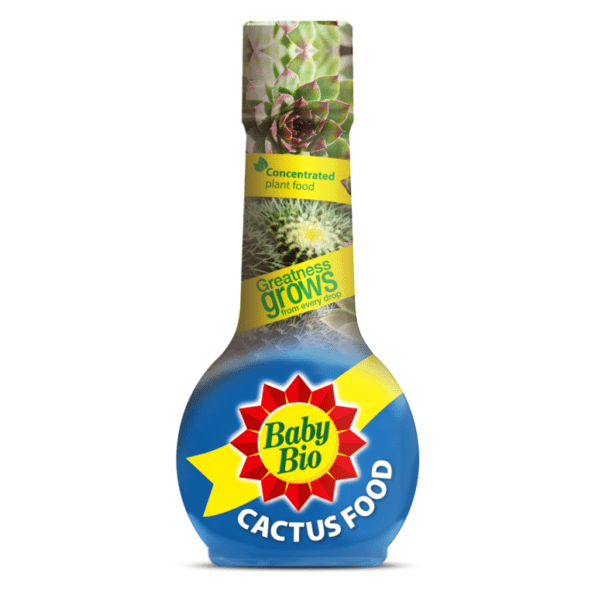 Cactus Food