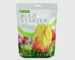 Bulb Starter