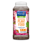 Ericaceous Plant Food