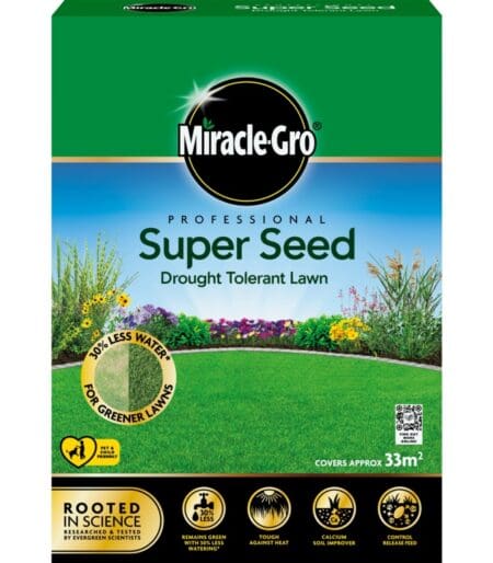 Professional Super Seed Drought Tolerant Lawn