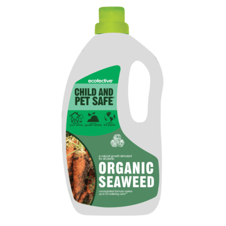 Organic Seaweed Concentrate