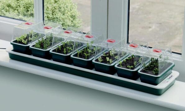 Super 7 Electric Windowsill Propagator