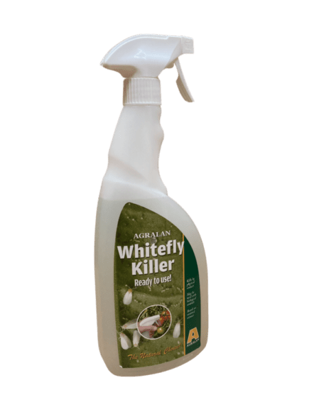Whitefly Killer Ready to Use