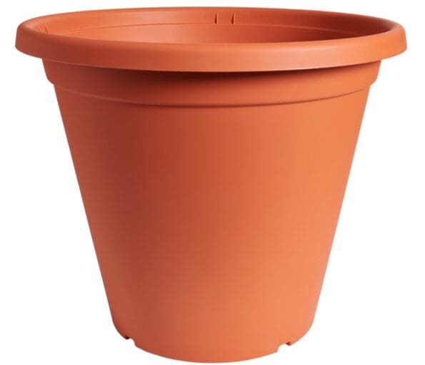 Round Terracotta Plant Pot