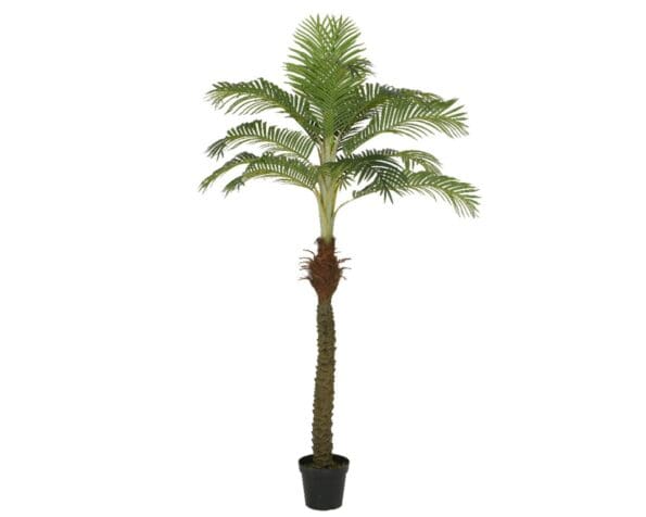 Palmtree In Pot Plastic Green