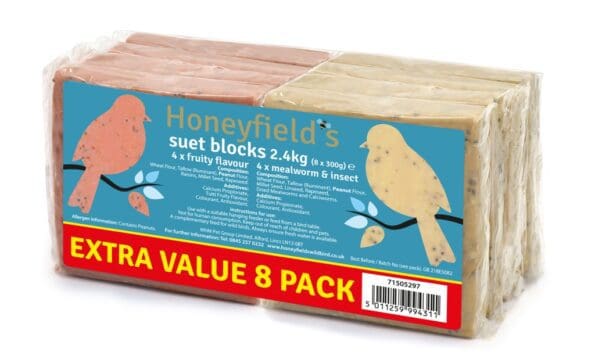 Suet Block with Berry & Mealworm