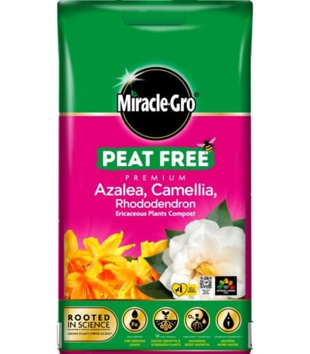 Peat Free Ericaceous Compost