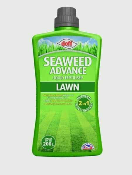 Seaweed Advanced For Lawns