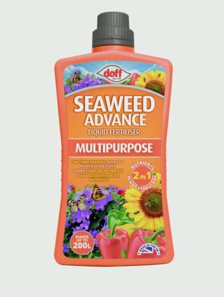 Seaweed Advanced Multi Purpose