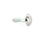 Mirror Screws Chrome Head (4)