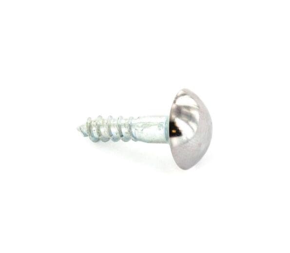 Mirror Screws Chrome Head (4)